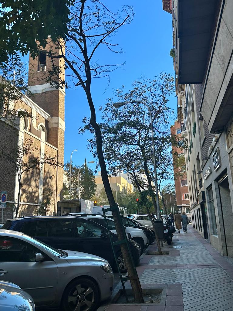 WhatsApp Image 2023-12-14 at 17.37.25.jpeg